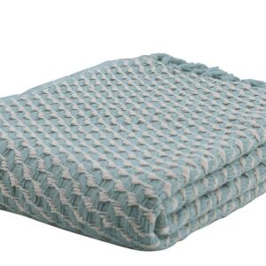 Park Designs - Sky/Natural Twill Throw 2507-022