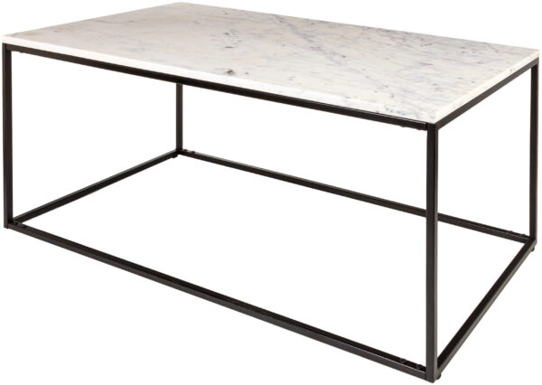 Surya - Aryaa Coffee Table YAA-001 YAA-001