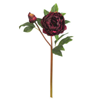 Burgundy Peony Pick - Box of 2 by CTW Home Collection