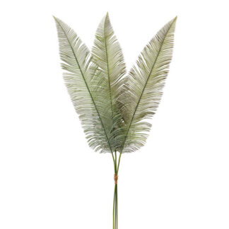 Fern Spray - Box of 2 by CTW Home Collection