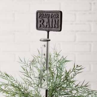 Pray for Rain Gauge by CTW Home Collection