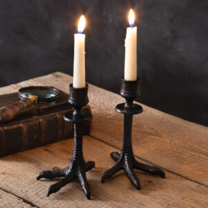 Set of Two Crows Feet Taper Candle Holders by CTW Home Collection