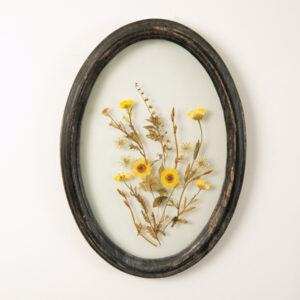 Oval Botanical Wall Decor by CTW Home Collection