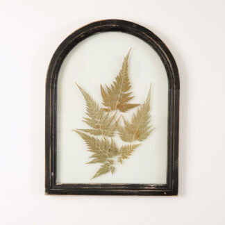 Black Arched Botanical Wall Decor by CTW Home Collection