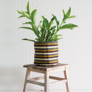 Curacao Striped Storage Planter by CTW Home Collection