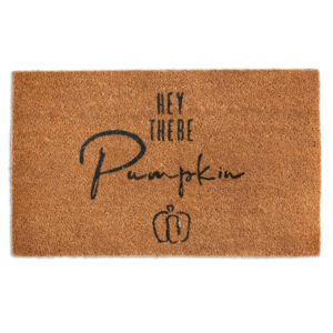 Hey There Pumpkin Doormat by CTW Home Collection