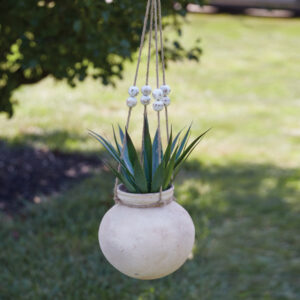 Clay Water Pot Planter by CTW Home Collection