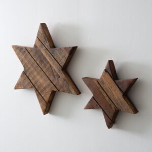 Set of Two Salwood Christmas Stars by CTW Home Collection