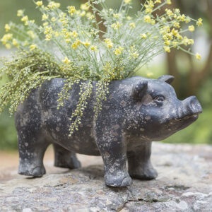 Large Pig Planter by CTW Home Collection