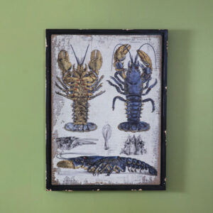 Scientific Blue Lobster Wall Decor by CTW Home Collection