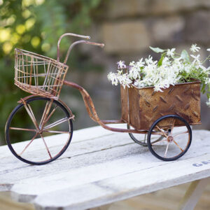 Delivery Trike Planter by CTW Home Collection