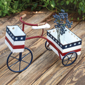 Patriotic Trike Planter by CTW Home Collection