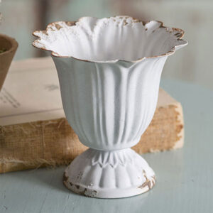 Small Scalloped Cup - Box of 4 by CTW Home Collection