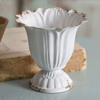 Small Scalloped Cup - Box of 4 by CTW Home Collection