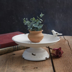 Large Ariella Pedestal Dish by CTW Home Collection