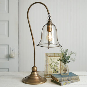 Antique Gooseneck Brass Lamp by CTW Home Collection