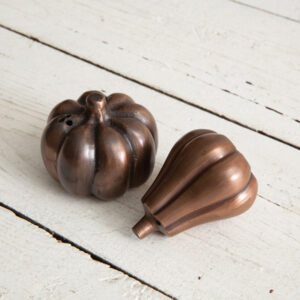 Pumpkin and Gourd Salt and Pepper Shakers by CTW Home Collection