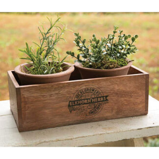 Elkhorn Herbs Planter with Two Pots by CTW Home Collection