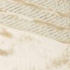 VHC-32025 - Memories Creme Stocking 11x15